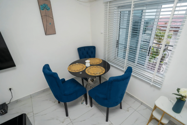Stephen-Fourth floor/ roof top/ penthouse studio - Image 7